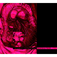 Atrax Morgue / Contagious Orgasm - Forced Entry / N.C.W. [CD]