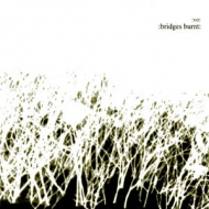 Vomit Orchestra - Bridges Burnt [CD]