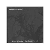 Tscheljabinsk 65 - The Demons Of Iron & Titan Woods [CD]
