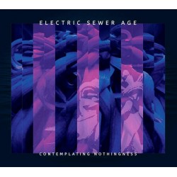 Electric Sewer Age -...