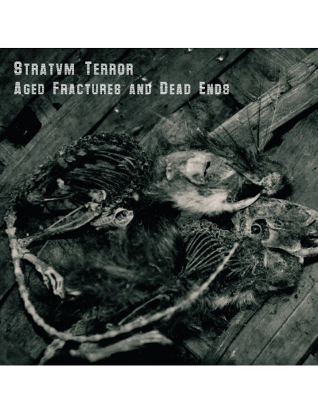 Stratvm Terror [Raison D’être] - Aged Fractures And Dead Ends [C