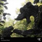 K11 - The Sacred Wood [CD]