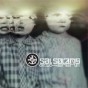 Sal Solaris - Die Scherben 2004-2010 [CD]